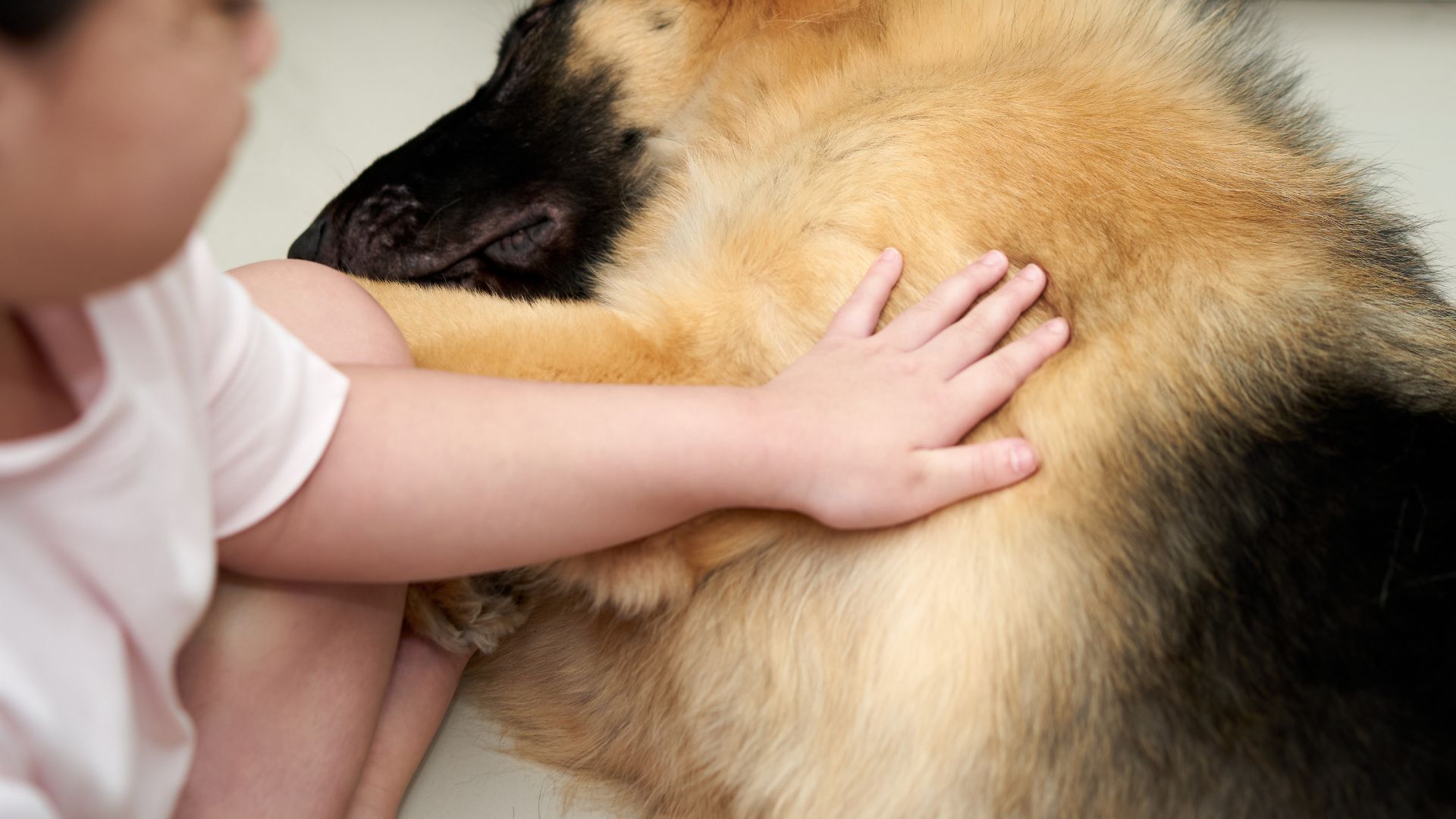 How Pets Help in Bringing Health & Happiness for Disabled People