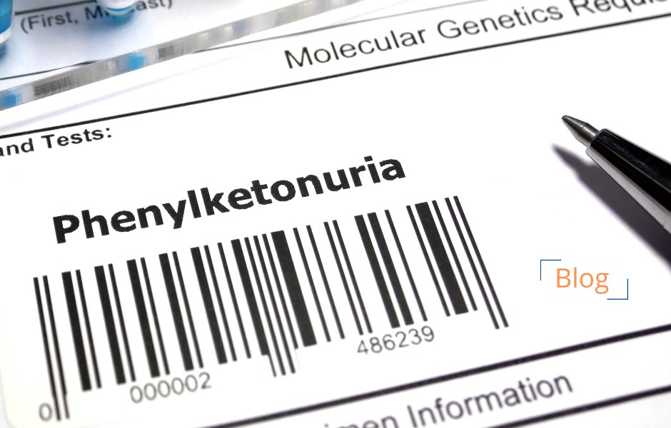 How Phenylketonuria Affects Brain Function and Development