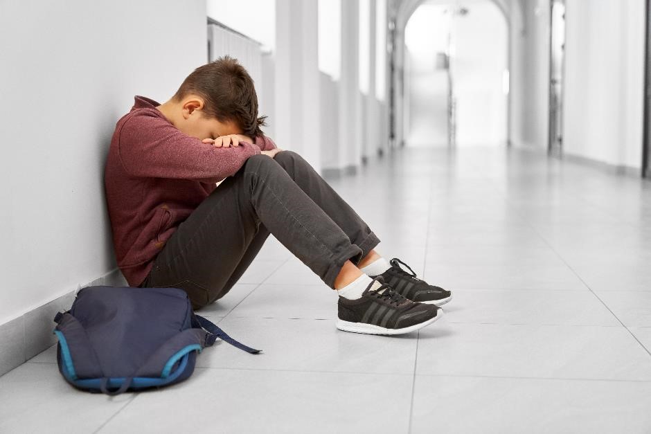 Emotional Disturbance in Children and Young People